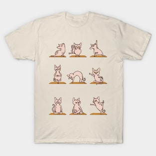 Sphynx Cat Yoga Cat T-Shirt